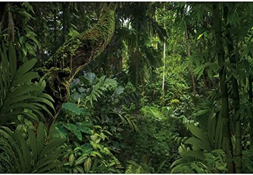 DORCEV 12x8 фута Фон за Снимки в Джунглата за нощуване на Открито, на Фона на Тематични партита, Пролетта на Мистериозен Тропически Гори, Джунгли, Дърво, Природни Пейзажи