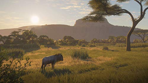 Ловец: Зов на дивата природа - Издание 2019 г. - PS4 (PS4)