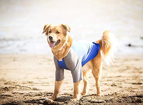RC Pets Solis Coverup, Защитна Тениска За Кучета със защита От ултравиолетова светлина, като Малка, лициум / въглен