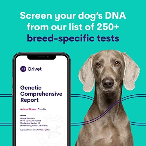 Комплект за анализ на ДНК на кучета ORIVET - Пълен профил на порода Немска овчарка | Тестване кученце на 250 медицински рискове за здравето и признаци | Генетичен отпечат