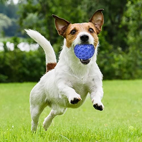 Играчки за малки кученца за малки Кучета, които Са Зъбите, Твърди Трайни Играчки за агресивни кучета, Пищащие Куче топки