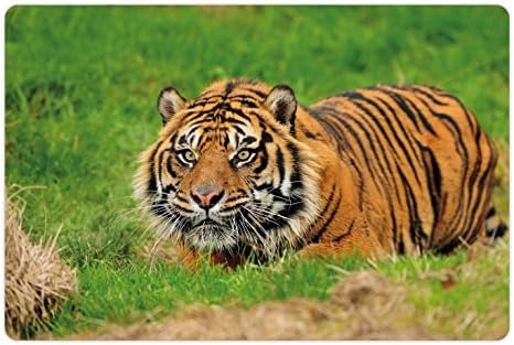 Подложка за домашни любимци Ambesonne Тигър за храна и вода, Суматранская котка се Крие в засада, лов за определяне на необходимите Плячка