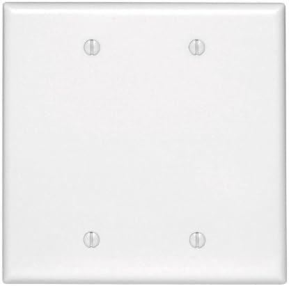 Leviton 80525-W 2-Битова Глухи Стенни панела, без устройство, Среден размер, Бял