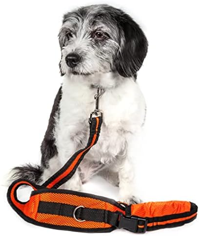 ПЕТ LIFE 'Echelon', Каишка за дресура на домашни кучета 2 в 1 със свободни ръце и Трансформируемым Колан за дресура на домашни любимци, Един Размер, Оранжево