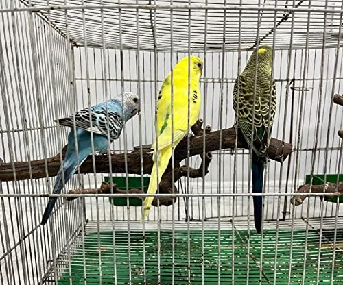 Птици Нощуват Поставка от Дърво Поставка от дърво Играчки за Папагали Птичья Клетка Аксесоари за Папагали Платформа за вълнообразни