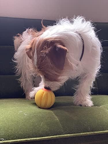 Играчка топка-Пъзел за Хранене на кучета LaRoo, Дъвчене играчка за кучета от естествен Каучук, Диспенсер за Закуски, Устойчив На Укусам