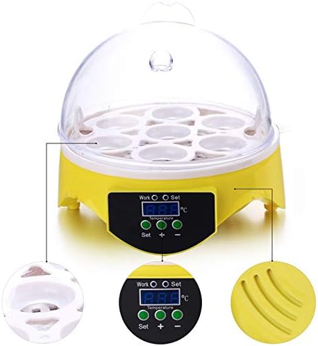 Инкубатор за яйца Anfan 7 Цифров Мини-Инкубатор За инкубация, пиле, патица, гъши яйца 30 W (жълт)
