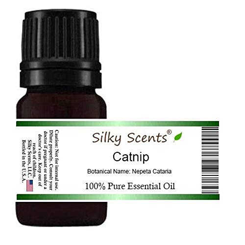 Етерично масло от коча билка (Cinnamomum Catnip) Чисто и натурално - 5 мл