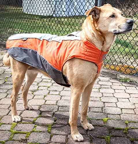 Защитен Водоустойчив яке за кучета DOGHELIOS 'Altitude-Mountaineer' велкро с технологията Blackshark, X-Large, Оранжева, Струя-Сиво,
