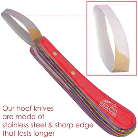 Нож за заточване на копита от ветеринарния лекар, за да се грижа за конете - Остри ножове от стомана J2 с удобен лист дръжка Е