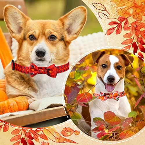 Tondiamo Pack Есента Нашийник за кучета в Деня на Благодарността, папийонка, Регулируема Быстросъемный Нашийник с Тиква и Кленов
