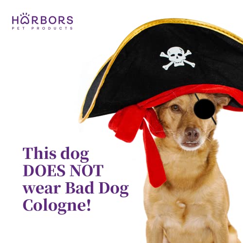 Кьолн Harbor's Bad Dog