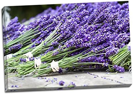 Gango Home Décor Lavender Harvest II, Художествена фотография: Дана Стайбер; Един платно ръчна изработка размер 36x24 инча