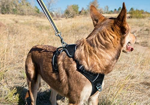 OllyDog Регулируема Мека Светоотражающая Шлейка за Кучета и Набор от Веревочных Каишки, Алпийска Шлейка и Комплект Планински