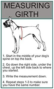 Куче-терапевт в Тренировъчната найлон шлейке за кучета. За закупуване прилагат се 2 кучета за рефлексивной терапия на тренировъчни релсите. Моля, измерете вашето к?