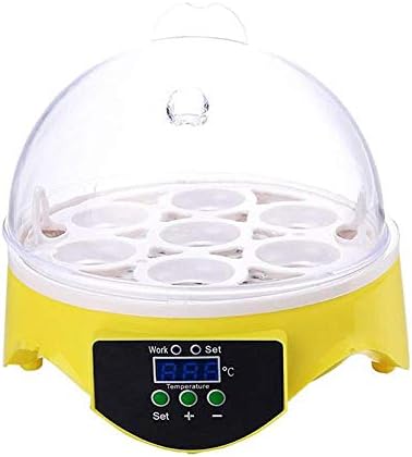 ALREMO 103234536 7 Яйца Мини Цифров Инкубатор с Автоматичен Контрол на температурата Прозрачен Инкубатор за Пилета, Патици, Птици (Размер: