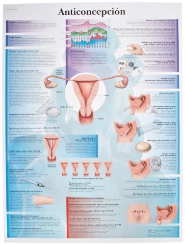 Анатомическая карта за контрол на раждаемостта 3Б Scientific VR2591L (на френски език) на ламинирани хартия, широчина 20 x височина 26