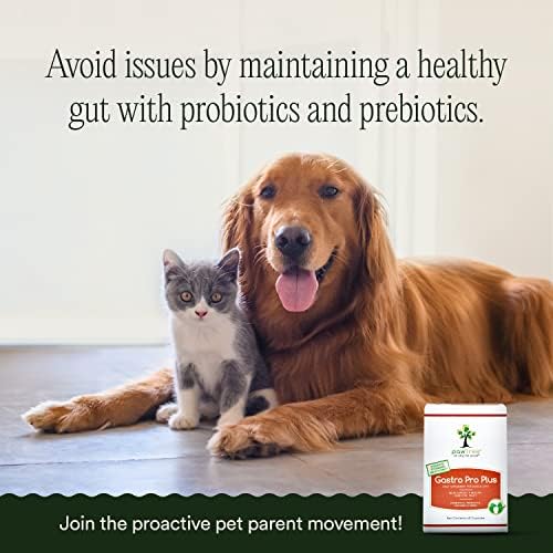 pawTree Gastro Pro Plus - хранителна Добавка с пробиотиками, пребиотици и храносмилателни ензими за кучета и котки - Допринася за облекчаване на стомаха, помага при разстройс?