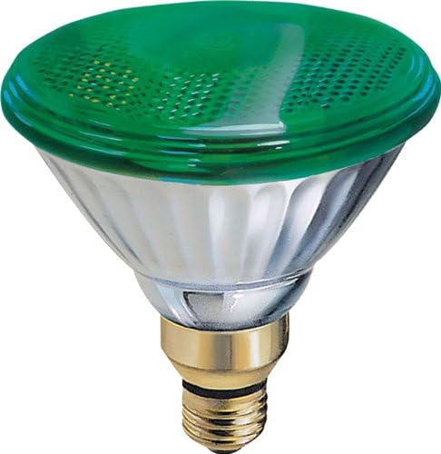 GE Lighting 13474 85-Ваттная външна лампа с нажежаема жичка PAR38, зелена