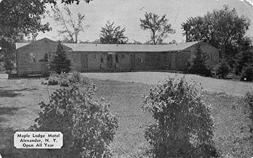 Стара пощенска Картичка Alexander New York Maple Lodge Motel С изглед към улицата K56269