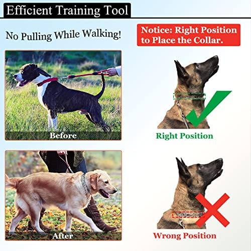 Тренировъчен нашийник с шипове за кучета, Удушаване нашийник за кучета [2 допълнителни ниво] [Свирка за кучета] с быстросъемной закопчалка