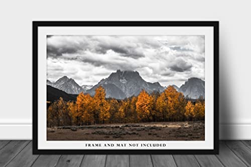 Печат в стил Уестърн (без рамка) Черно-бяло изображение златни Осиновых дървета и планини Моран в националния парк Гранд-Титон,