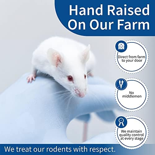 Храна за мишки MiceDirect Frozen Small Fuzzie Устройство за малолетни и непълнолетни Хогнозовых, Царевични и млечни змии (15
