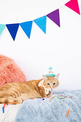 Шапка за котки честит рожден Ден Pearhead и папийонка, Комплект от 2 Теми Дрехи за котки за рожден Ден, Облекло за Котки честит