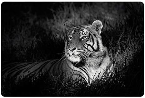 Черно-Бял Мат Ambesonne за домашни за храна и вода, Бенгалски Тигър, който се намира в Тревата Африканската Савана, Черно-бели Разпечатки