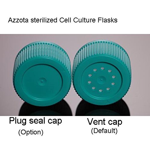 Стерилизирани Колби за култивиране на клетки - 50 мл, 25 cm2, TC, Вентилиран Капак, 10 бр.