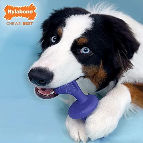 Nylabone Rolling Dog Toy Мощна Дъвка играчка за агресивни Жевунов - Играчка за кучета с въртене и погоней - Дъвка играчка за кучета с вкус на бекон - Голяма / Гигантска (1 брой)